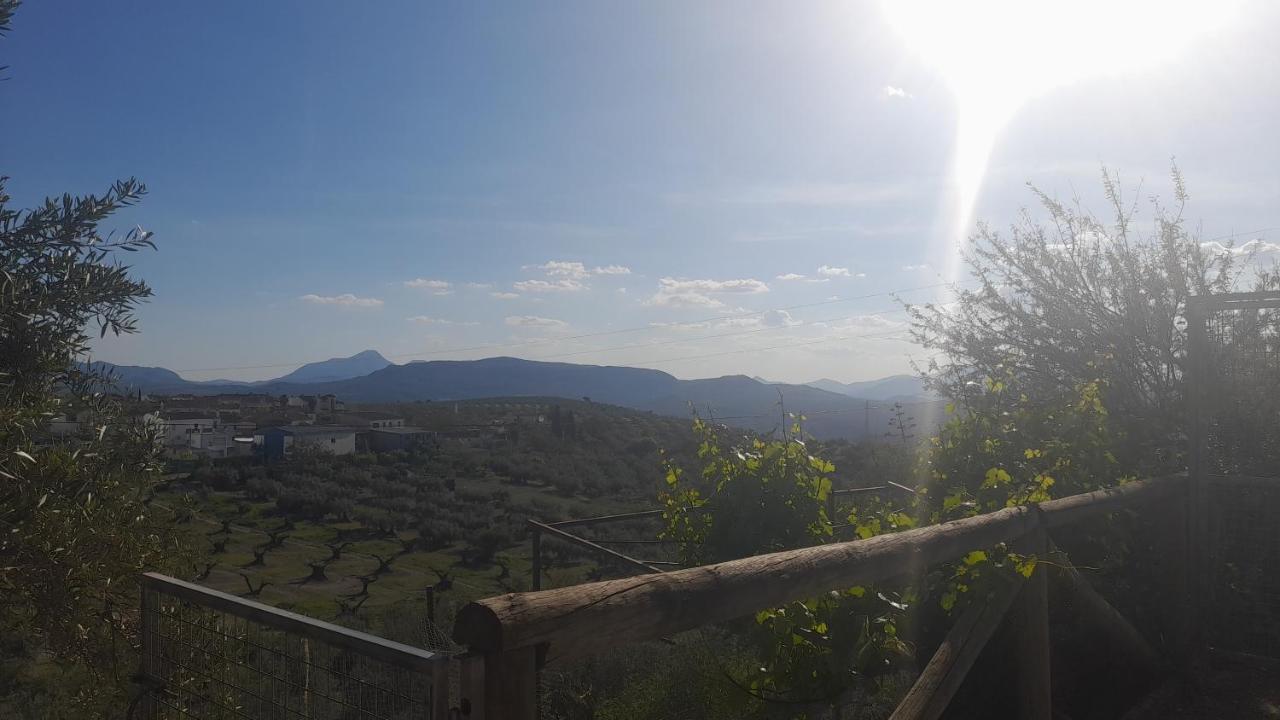 شقة ألكاوديتي  في Cortijo El Cerro المظهر الخارجي الصورة