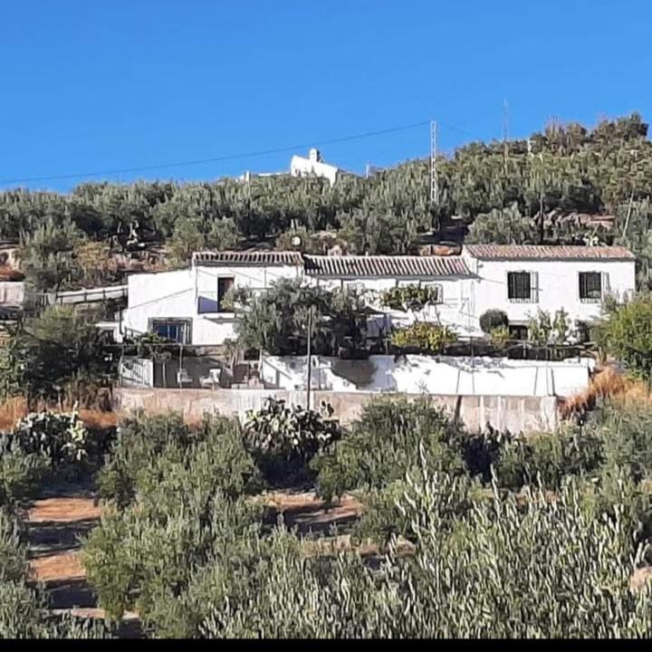 شقة ألكاوديتي  في Cortijo El Cerro المظهر الخارجي الصورة